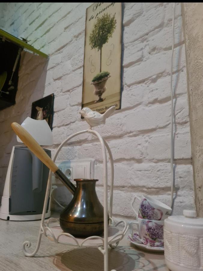 Cozy Compact Flat In The City Center Lwów Zewnętrze zdjęcie